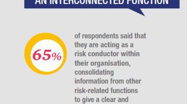 european risk manager profile