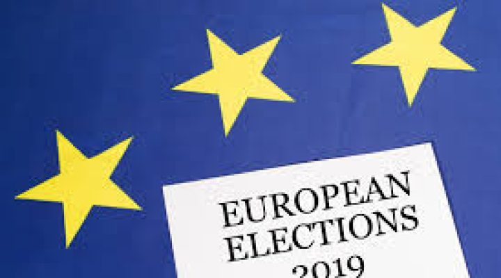 European elections 2019 image
